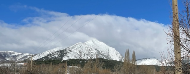 Yo, la nieve y una gallina.